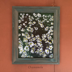 Chamomile album cover